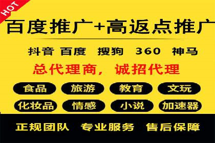 竞价广告的深度解析：以一知名品牌为例
